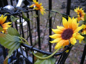 Bicycle baskets