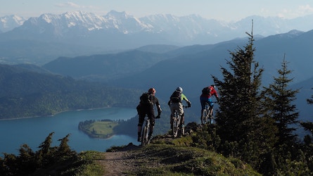 riders on boardman bikes